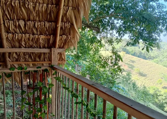 Finca Alto Bonito