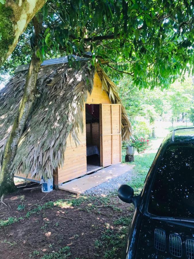 Camping Alto Bonito *